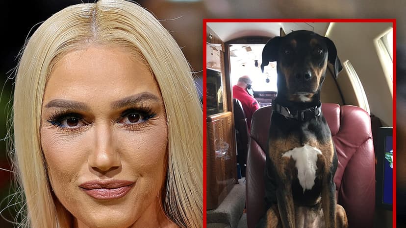 Blake & Gwen's Beloved Dog Betty Dies After 18 Years