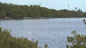 Blue Origin Faces Water Woes Near Indian River Lagoon