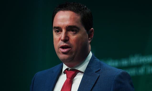 Bluetongue Outbreak Hits Ireland's Livestock