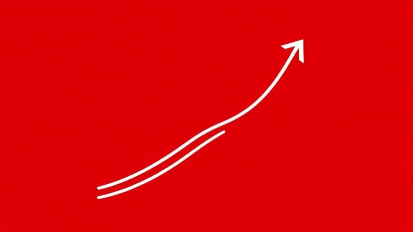 Bain Capital-Backed Bob's Furniture Files for U.S. IPO