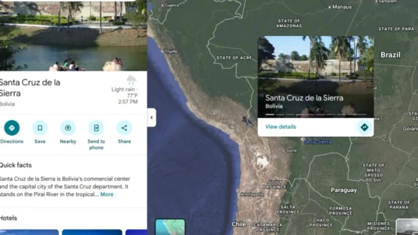 Bolivia Chikungunya Cases Decline, High Positivity Persists