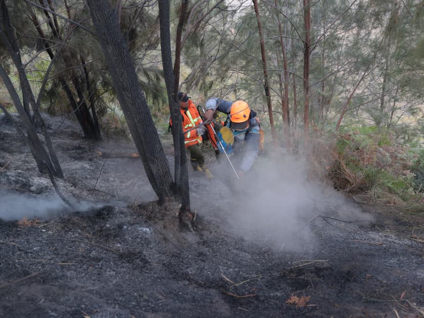 Borneo Wildfires Rage: 1,500 More Troops Deployed