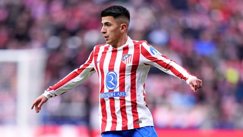 Late Payment Dispute Lands Botafogo in Transfer Ban