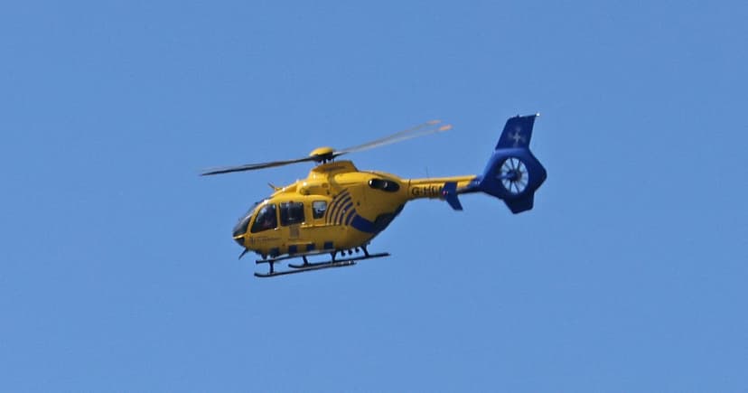 Boy, 8, Dies After Horse Kick in Arena
