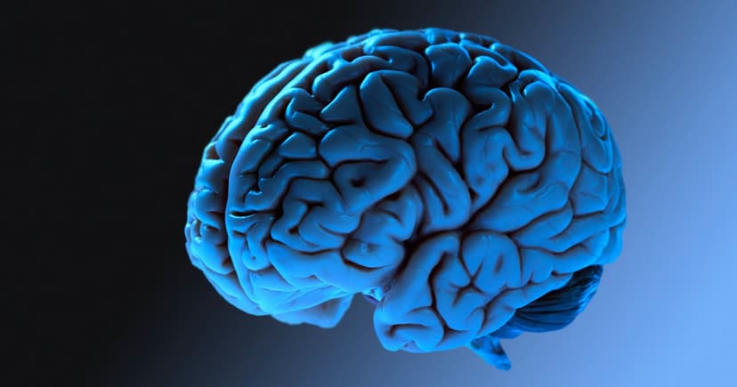 Adulthood Begins at 32, New Brain Study Reveals