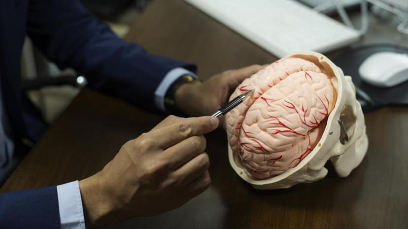 Environment Fuels Brain Aging Ninefold