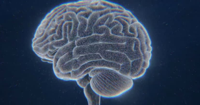 Brain Mysteries: We Know Far Less Than You Think