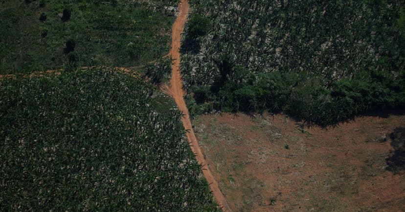 Brazil Farmers to Earn for Preserving Nature