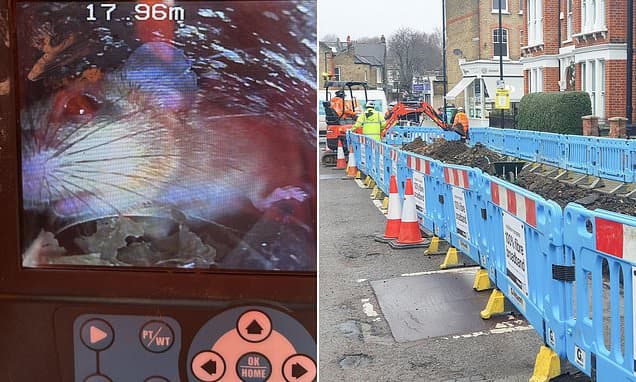 Rats Gnaw Broadband Dreams, Rescue Bid Scuppered