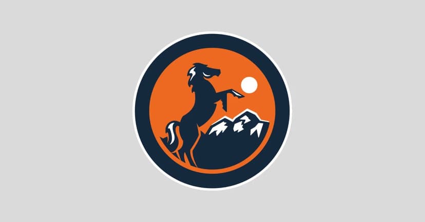 Webb Takes Helm: Can Broncos' Offense Soar?