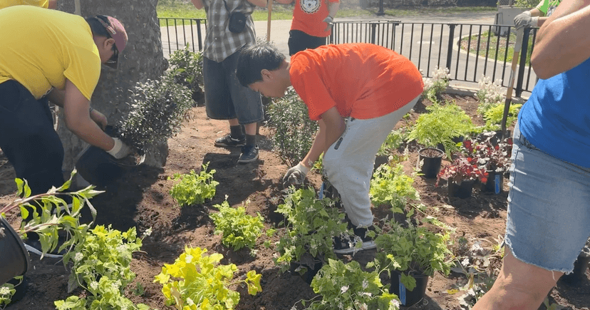 Brooklyn Students Transform Park with Pollinator Garden