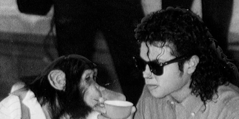 Michael Jackson's Chimp Bubbles is Thriving at 43!