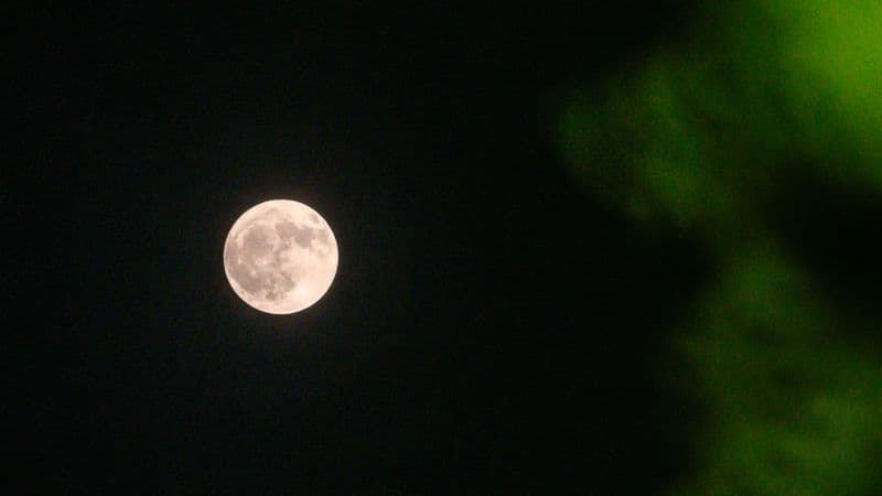 Buck Moon Glows: Wildfire Smoke Paints Skies Red