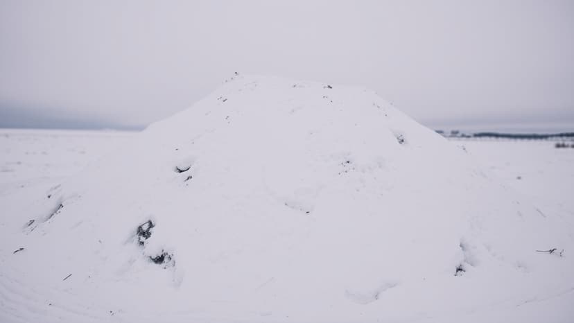 Buffalo's 1977 Ground Blizzard: Snow Moved, Not Fell