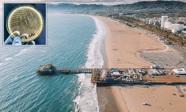 California Beaches: Sewaged or Pristine?