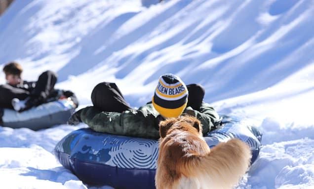 California Snowplace Overrun by 'Snowplayers'