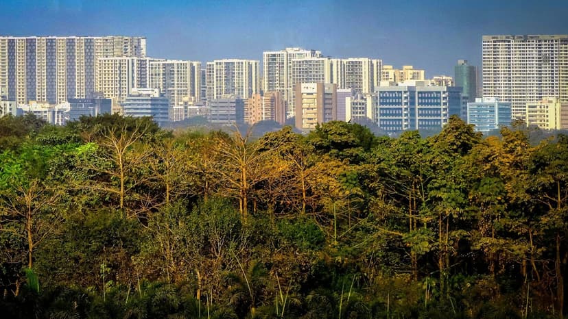 CAG Slams Maharashtra Forest Dept: Mission Failure
