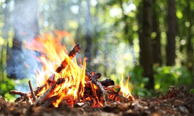 Cairngorms Burns: Fire Ban to Save UK's Largest Park