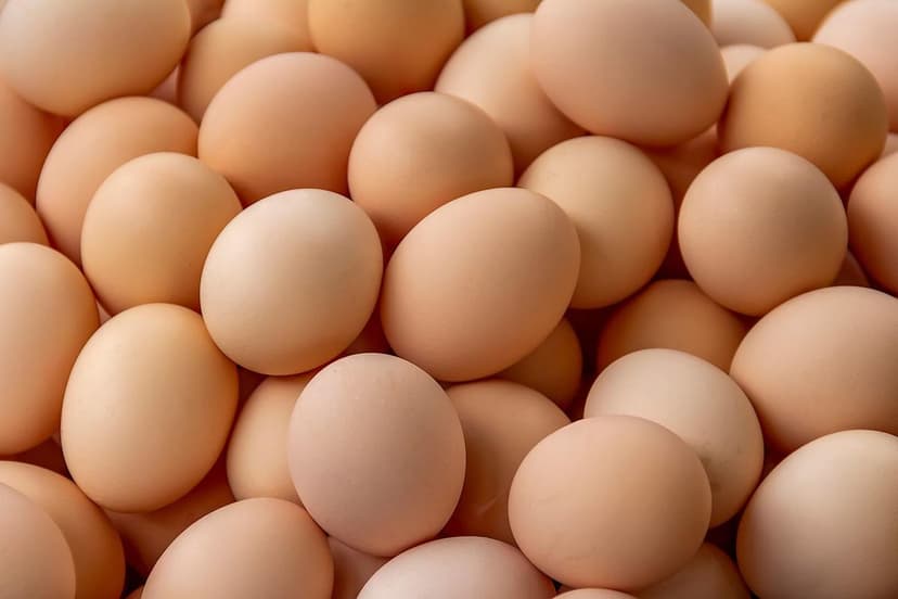 Salmonella Scare: 1,500+ Eggs Recalled in California