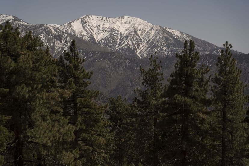 California's Snowpack Shrinks to Alarming Levels