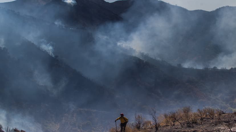California's Wildfire Season: El Niño's Uncertain Impact