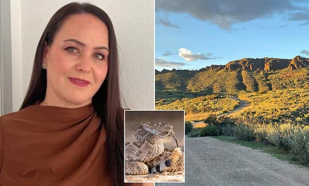 California Woman Dies After Rattlesnake Strike