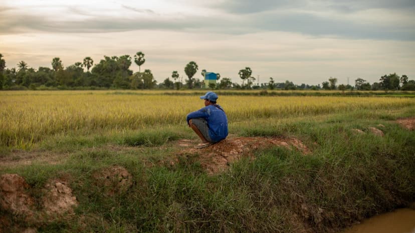 Cambodia's Flood Alerts Save Lives
