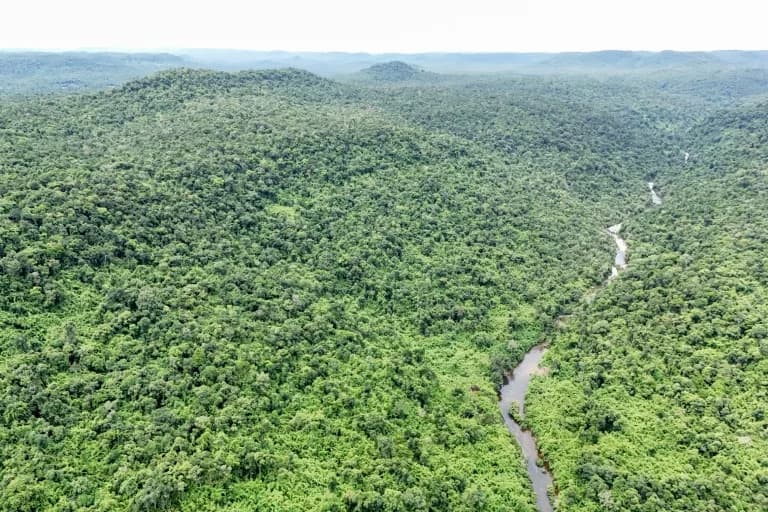 Cambodia's Tigers: Return or Risk?