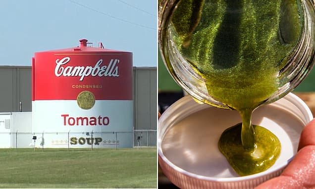 Campbell's Soup Scandal: Wastewater and 'Bioengineered Meat' Claims Emerge