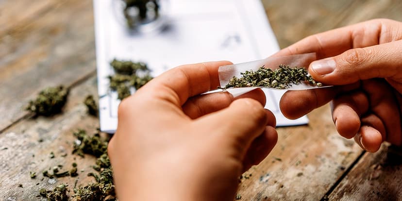 Cannabis Compounds May Reverse Liver Disease