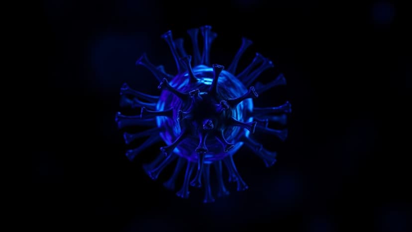 Meningitis Outbreak Sparks Fear in Historic City