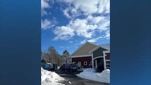 Cape Cod Shelter Evacuates Animals Amidst Blizzard