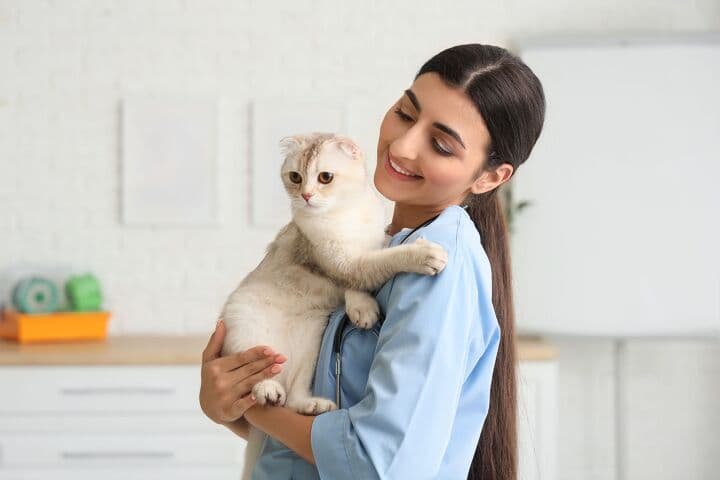 Cats' Weird Kidney Fats Hold Disease Clues