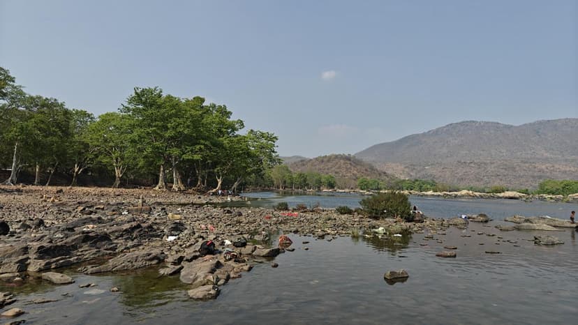 Forest Dept Pits Spark Grassland Destruction Fears