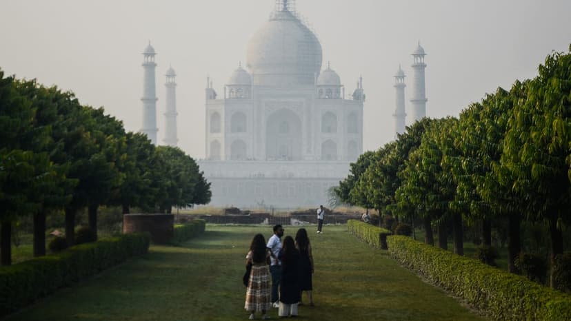 CDC Warns of Rabies Risk in India and Haiti After Cases