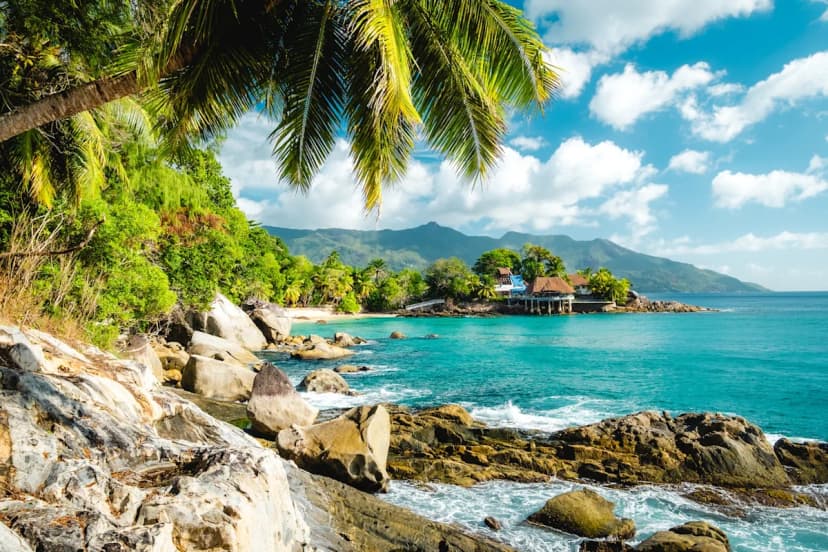 Seychelles Travel Alert: CDC Warns of Chikungunya Outbreak