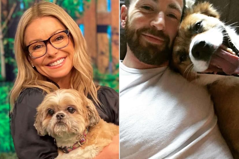 Celebs' Rescue Dogs: Heartwarming Adoption Tales