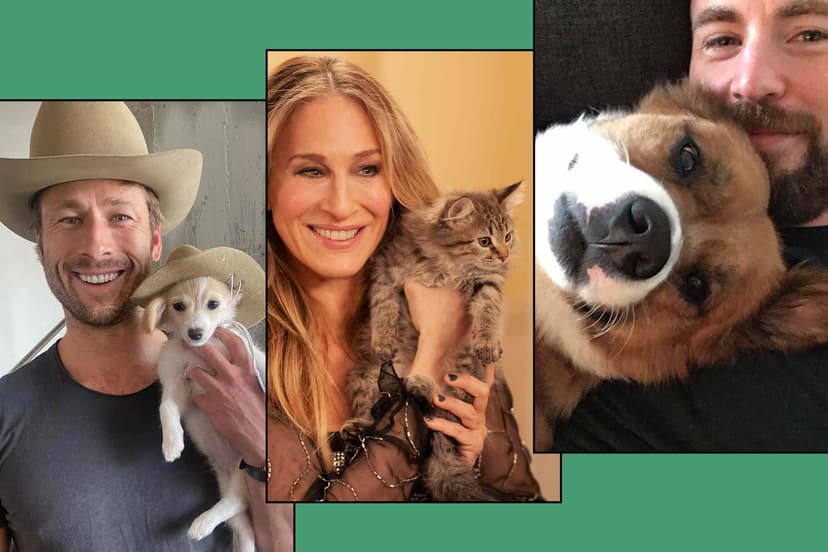 Stars' Set Sweethearts: Adopting Onscreen Companions