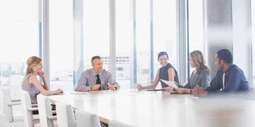 CFOs: CEOs' Secret Allies or Job Threats?