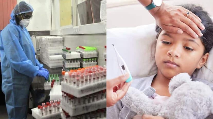 Chandipura Virus Spreads: National Team Deployed to Gujarat