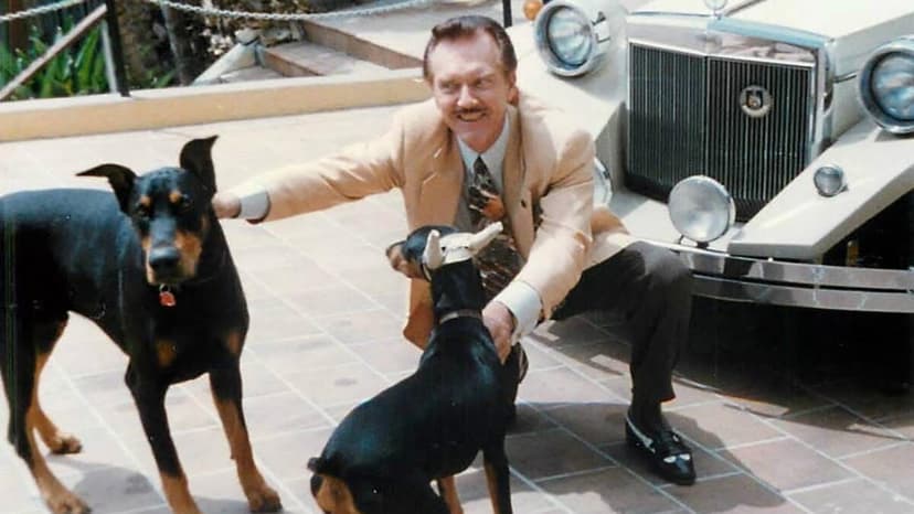 Charity Millions Vanish: No Dogs Helped