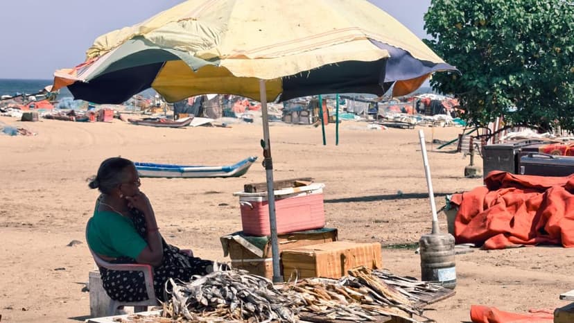 Chennai Fisherwomen Battle Climate Change's Rising Tide