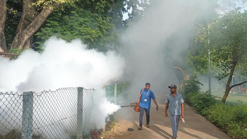 Chennai Battles Mosquitoes: 4,000+ Breeding Spots Found!