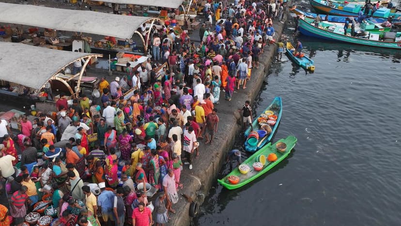 Chennai's Inland Fish Vanish Due to Pollution, Encroachment