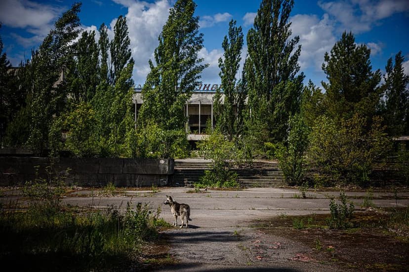 Chernobyl's Ghost Town: War Threatens Nuclear Relics