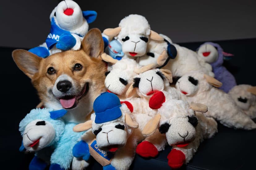 Iconic Lamb Chop Dog Toys Get Playful New Designs