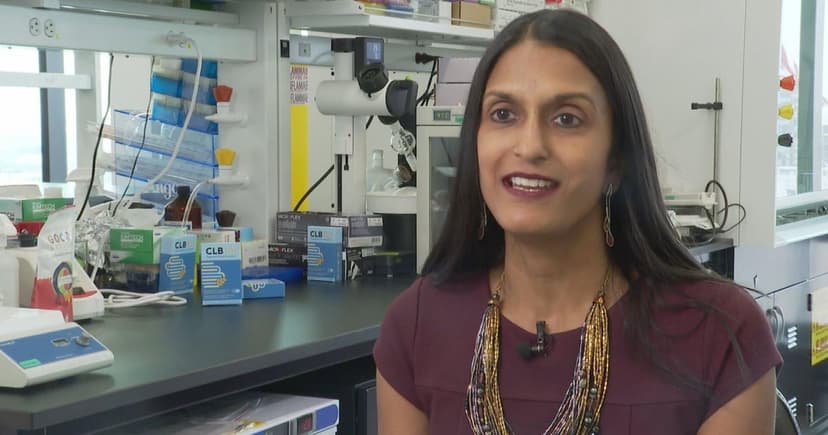 Chicago CEO's Gut Health Mission