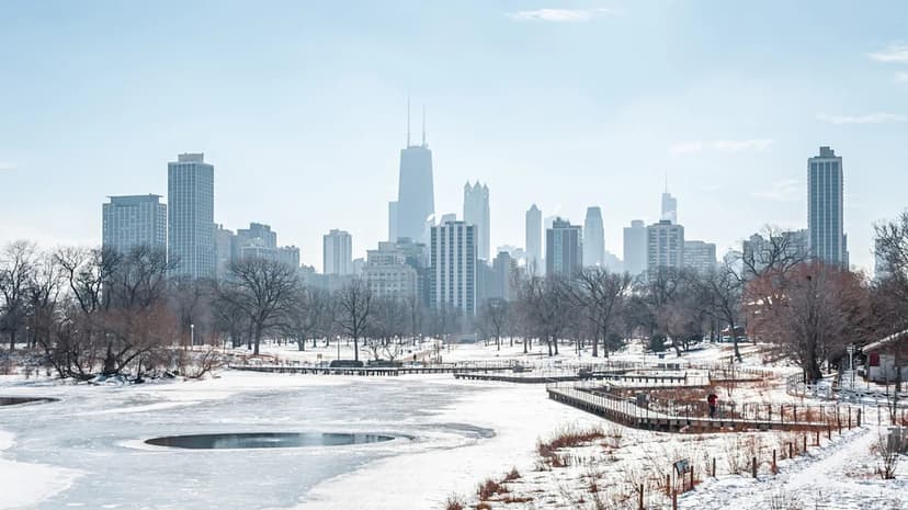 Chicago's Winter Magic: Top 5 Neighborhoods Dazzle