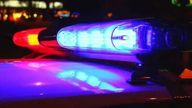 Children Recovered Safely in Cross-Country Evade