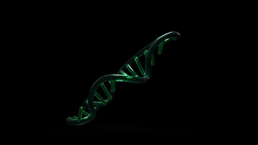 Child Deaths Linked to Consanguinity: Study Reveals Stark Disparities